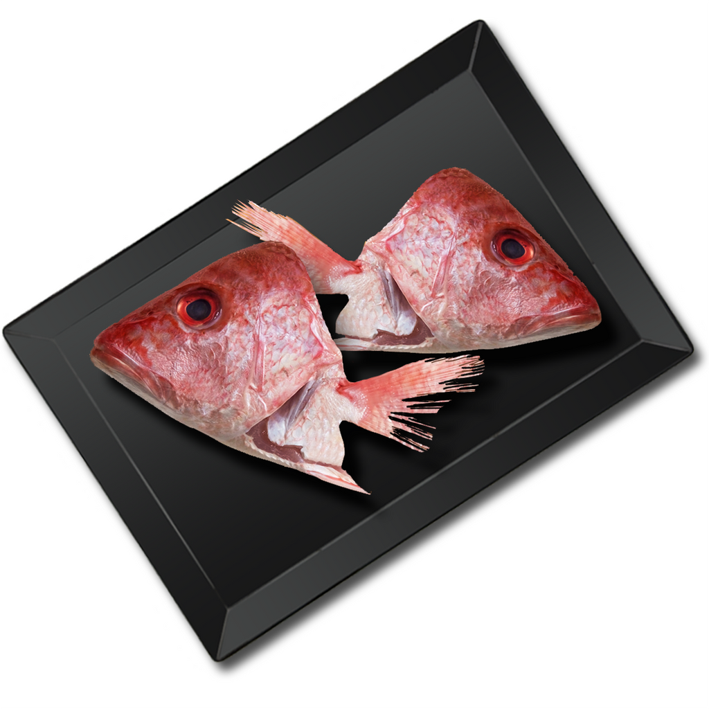 RED SNAPPER WILD - Head