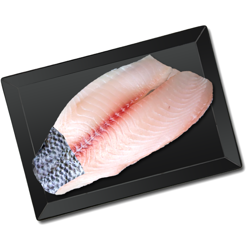 TILAPIA / ORGANIC FROM COLOMBIA - Fillet Skin Patch On