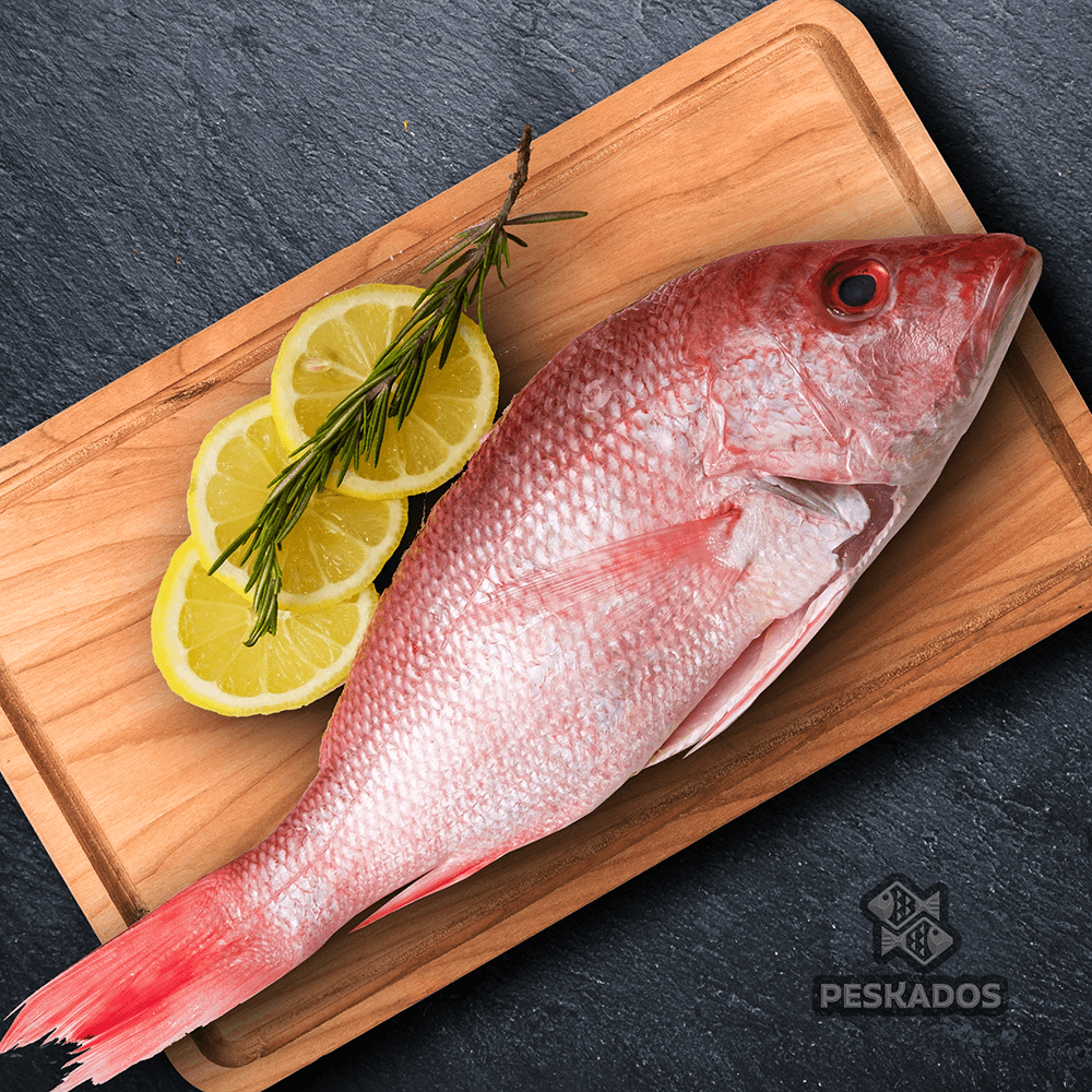 AMERICAN RED SNAPPER WILD / Whole