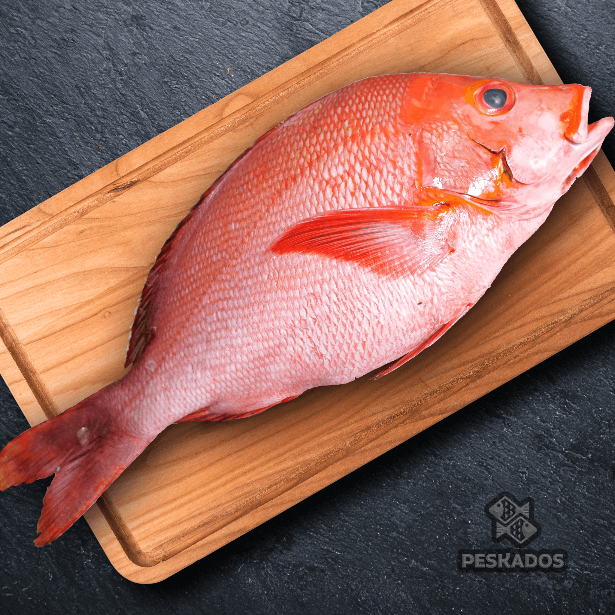 RED SNAPPER WILD / Whole